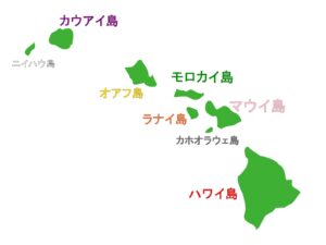 ハワイの島の色と花